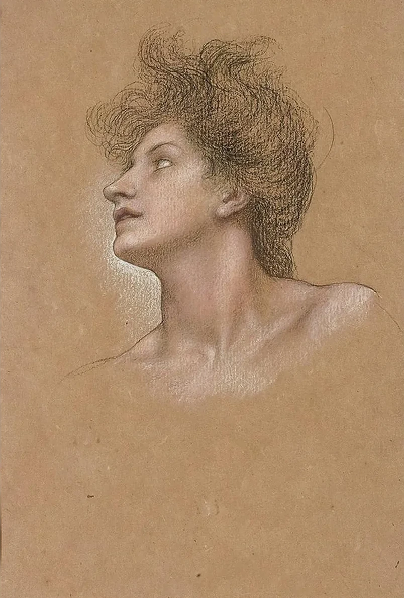 Study of a Woman's Head