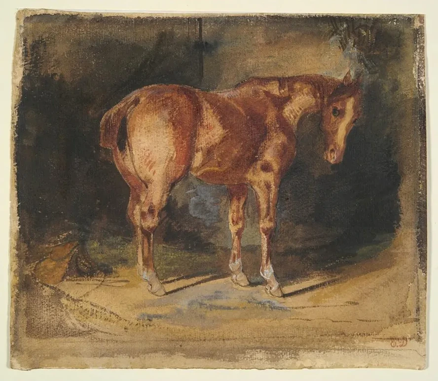 Study of aHorse