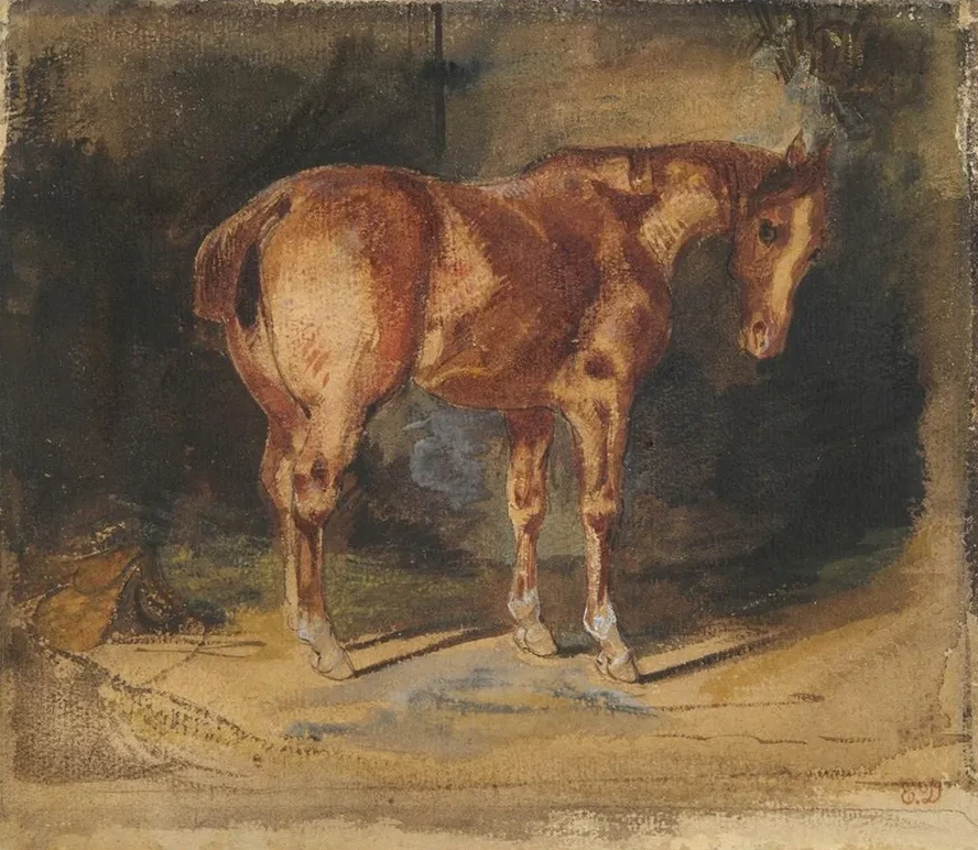 Study of aHorse
