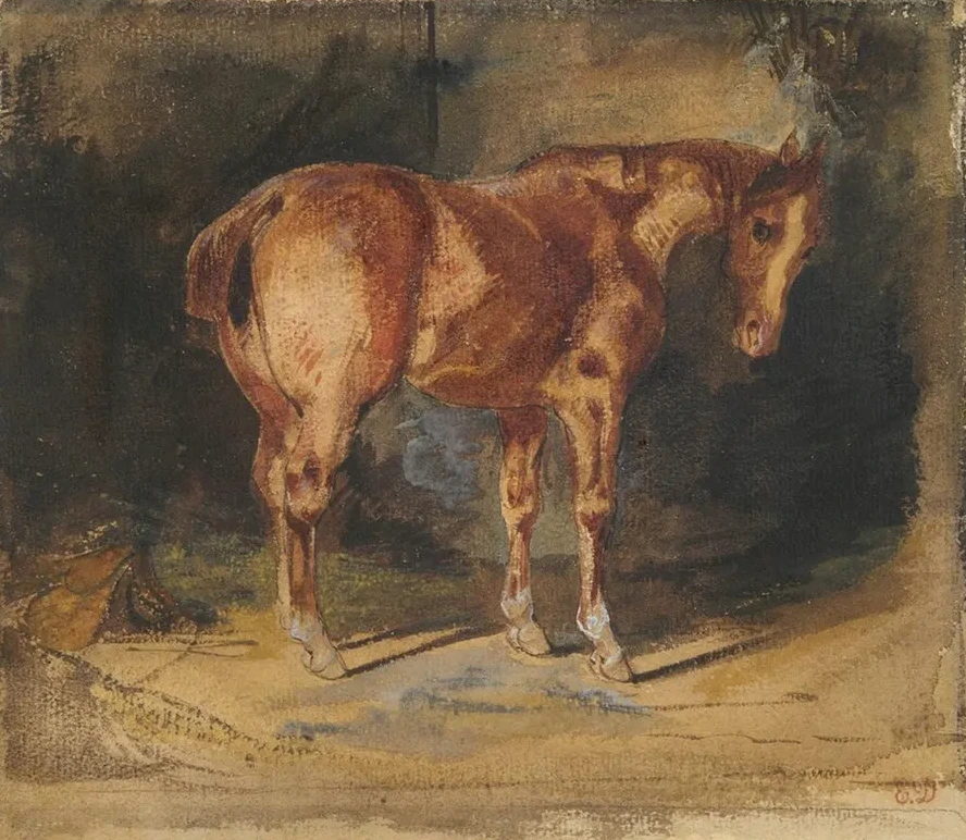 Study of aHorse