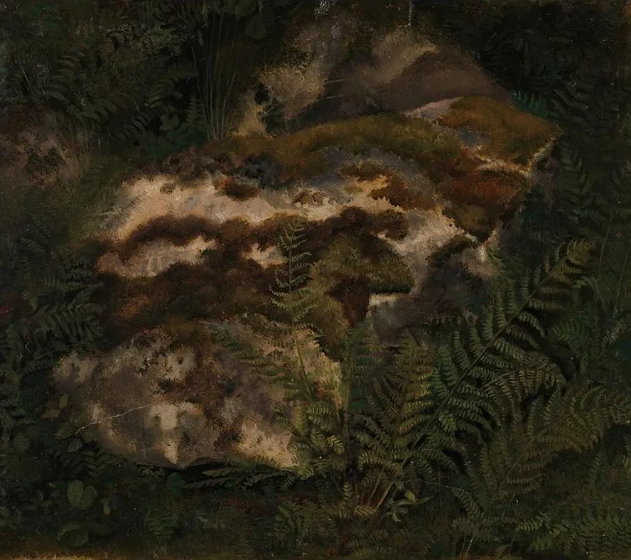 Study of an Moss - Covered Stone and Ferns