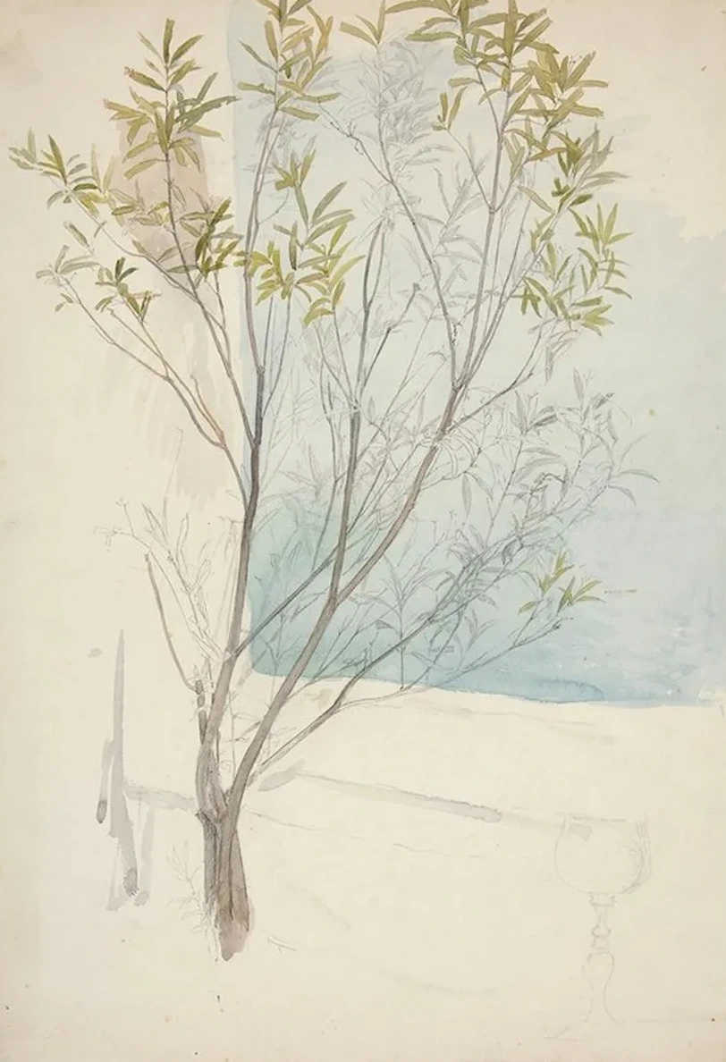 Study of Atree