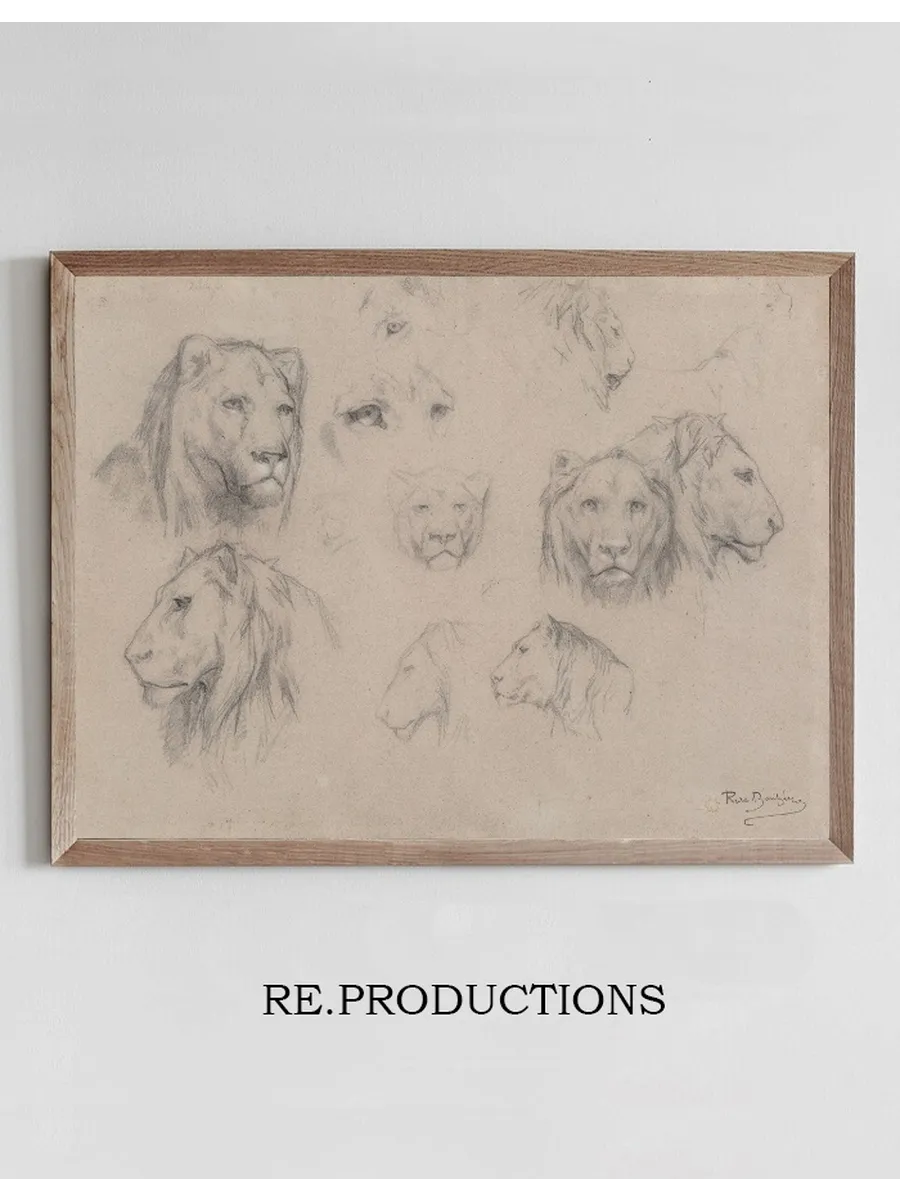 Study of Heads of Lions and Lionesses