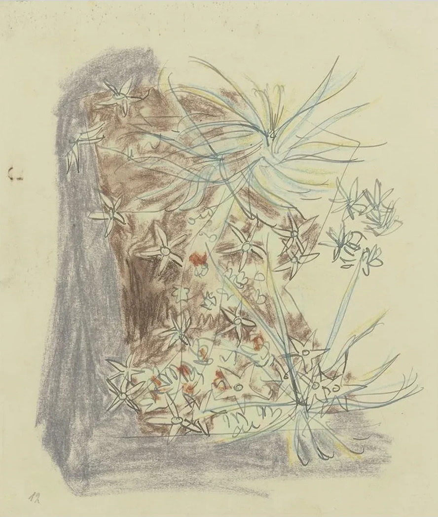 Study of Plants 2