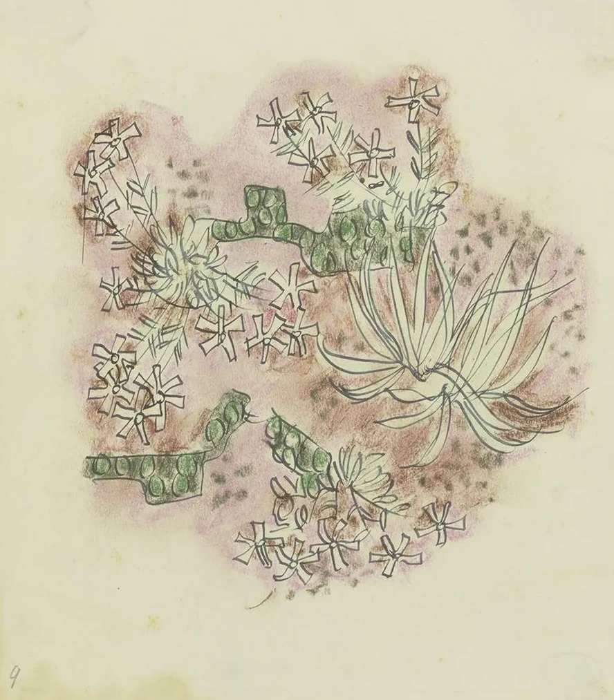 Study of Plants 3