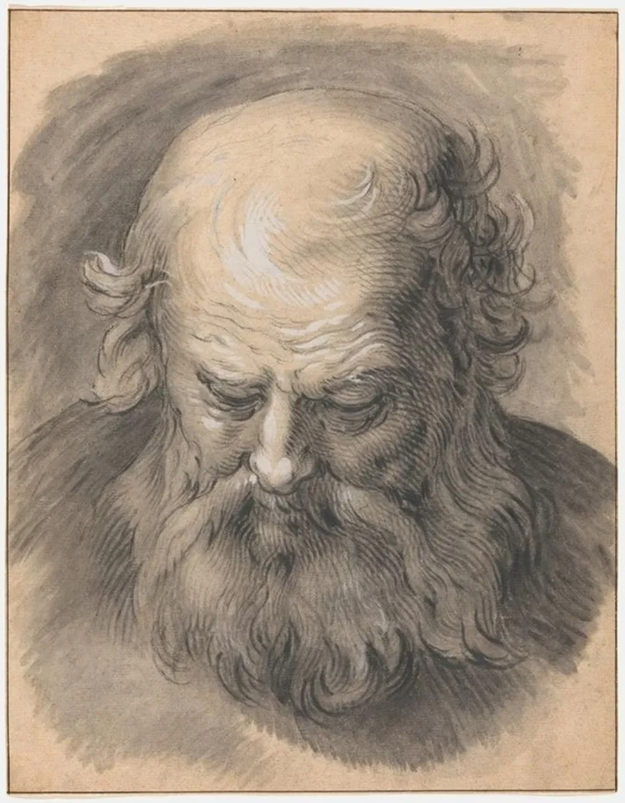 Study of the Head of a Bearded Man