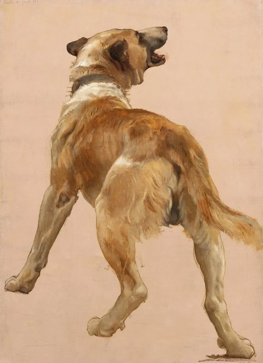 Study of the Dog of Hom Re et Son Guide