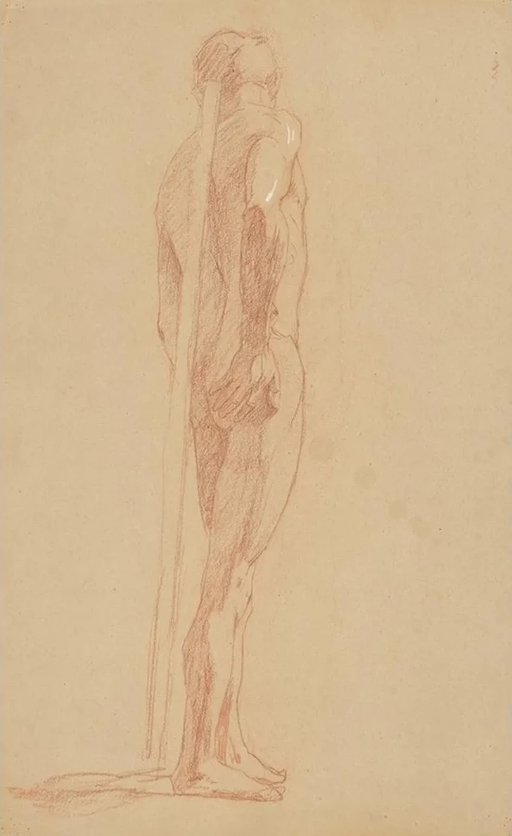 Study of the Male Nude