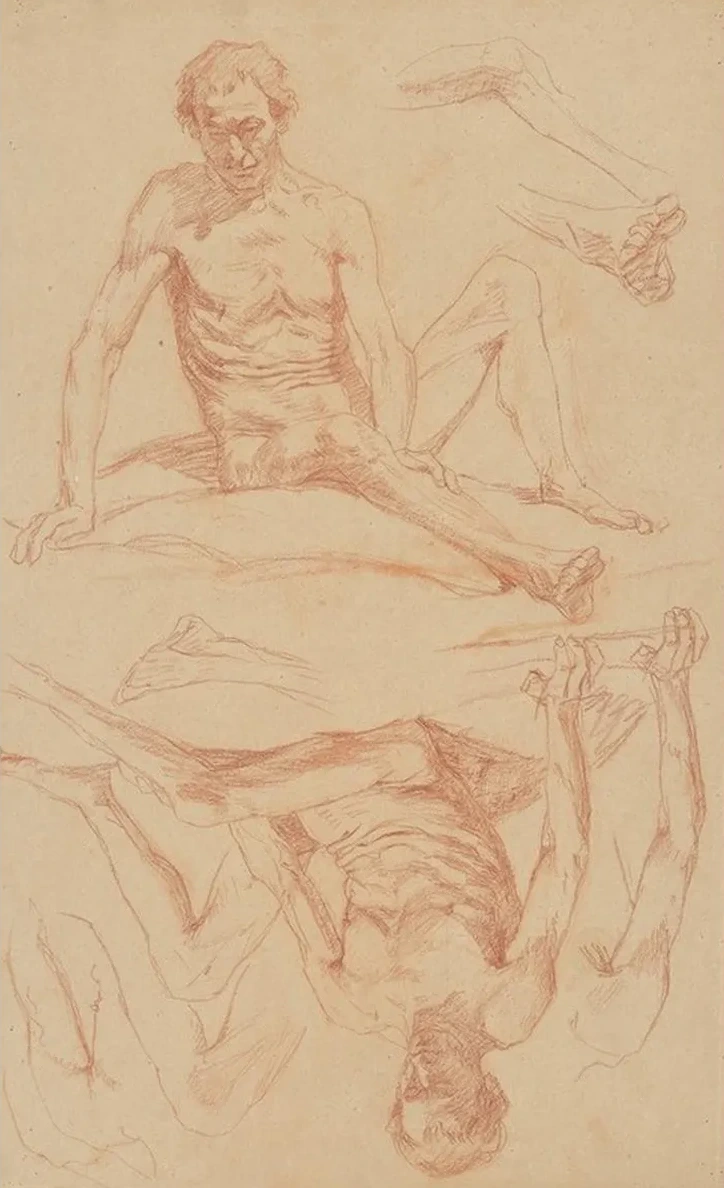 Study of the Male Nude