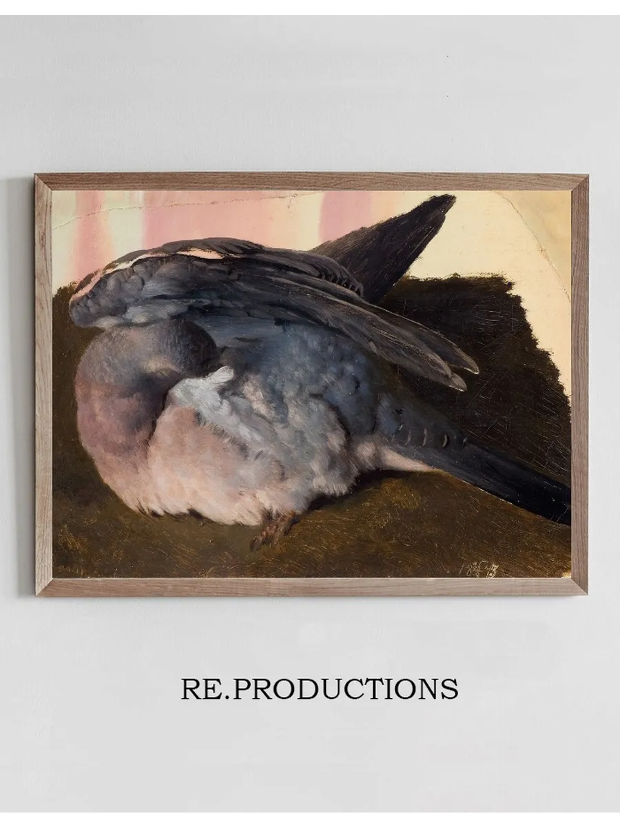 Study of the Sleeping Wood Pigeon