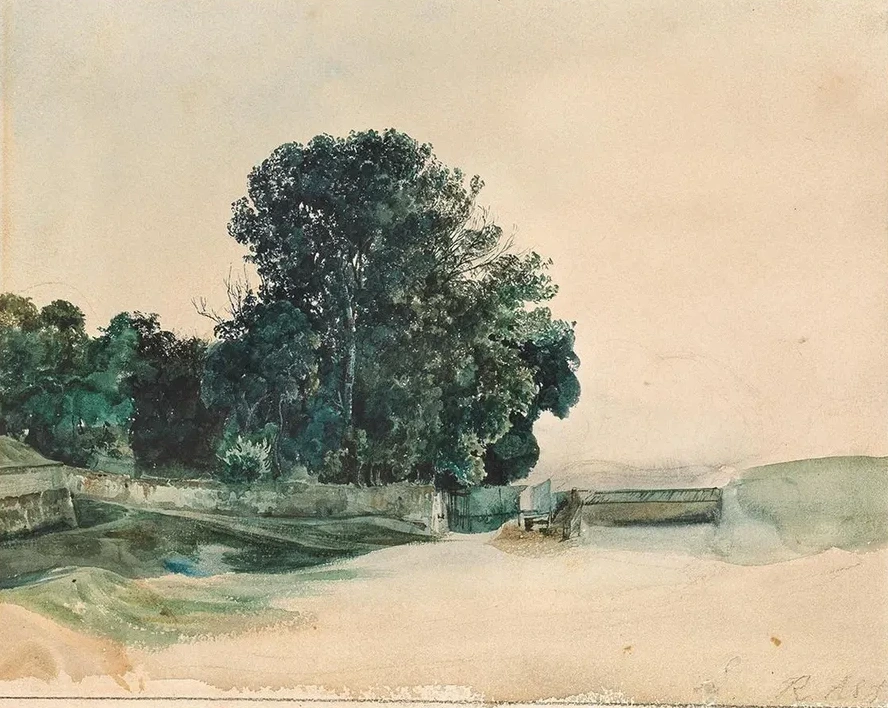 Study of Tree