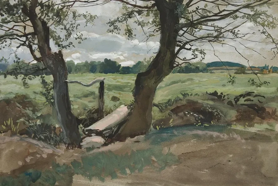 Study of Two Trees and Afield