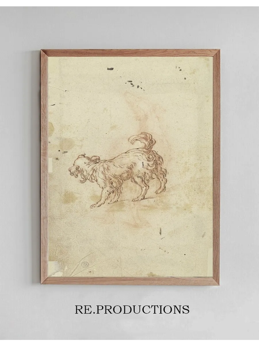 Study Sheet Two Dogs