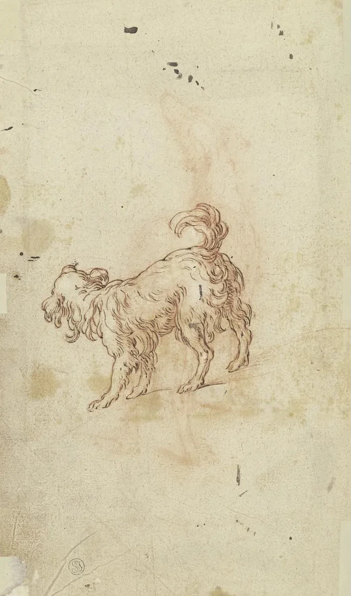 Study Sheet Two Dogs