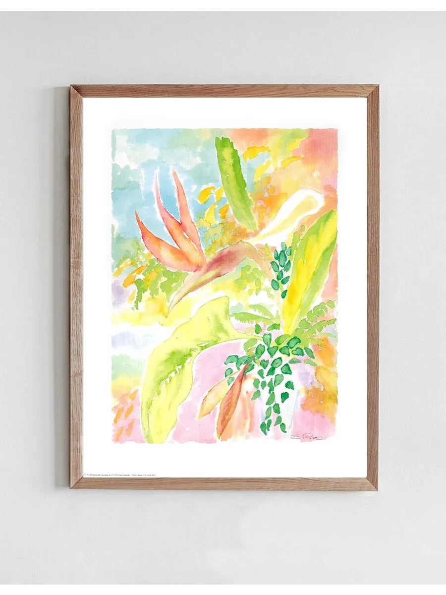 Summer Images 6