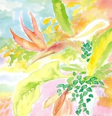 Summer Images 6