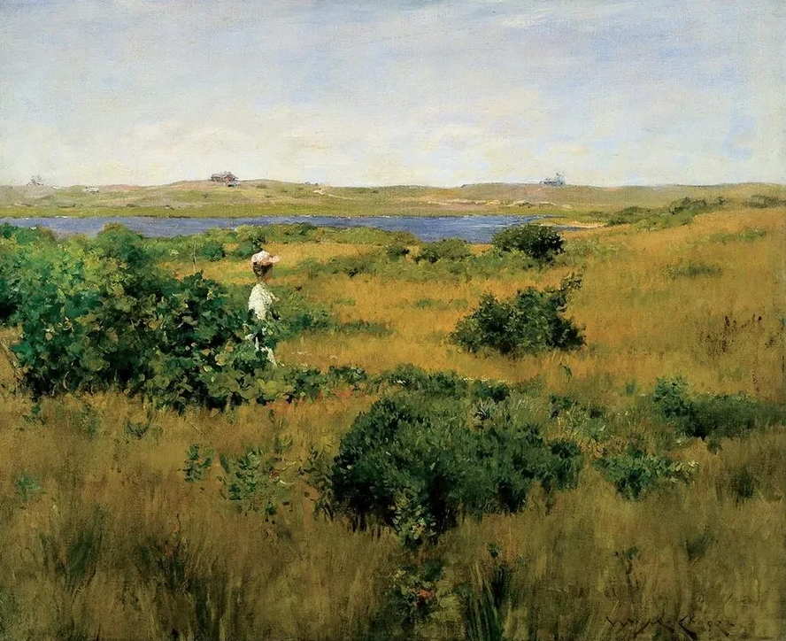 Summer at Shinnecock Hills