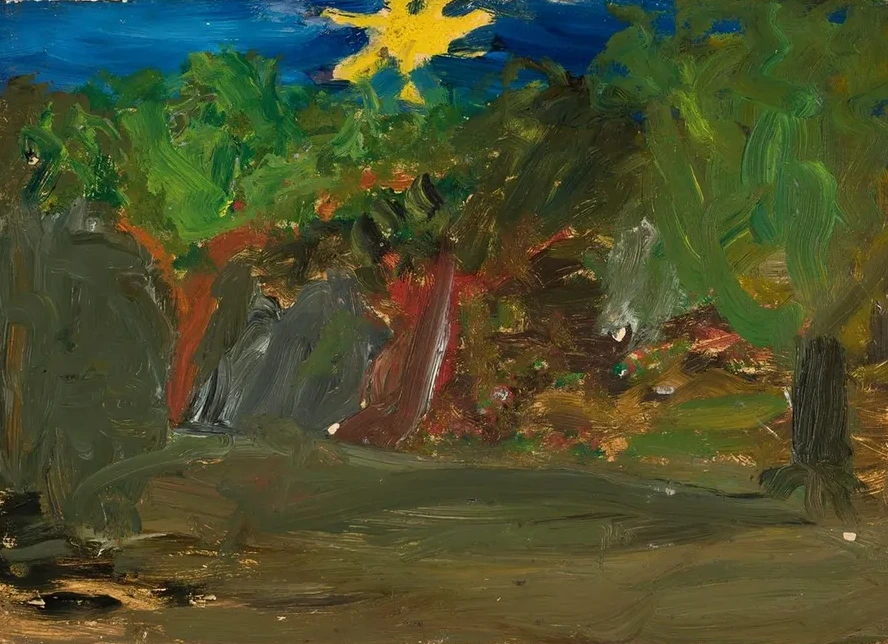 Sun Over a Garden