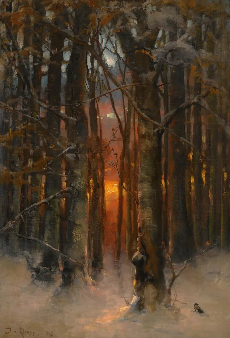 Sunset Through The Trees