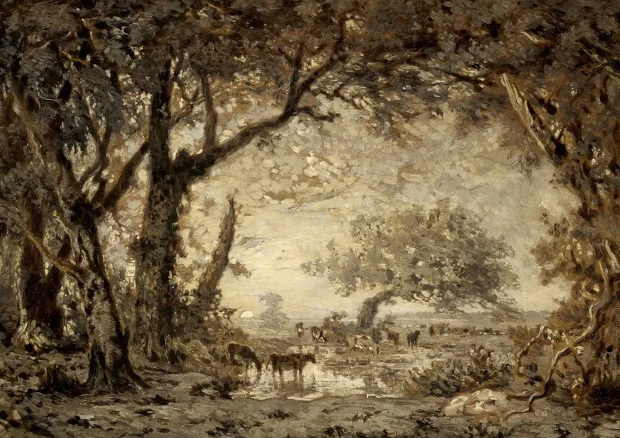 Sunset from the Forest of Fontainebleau