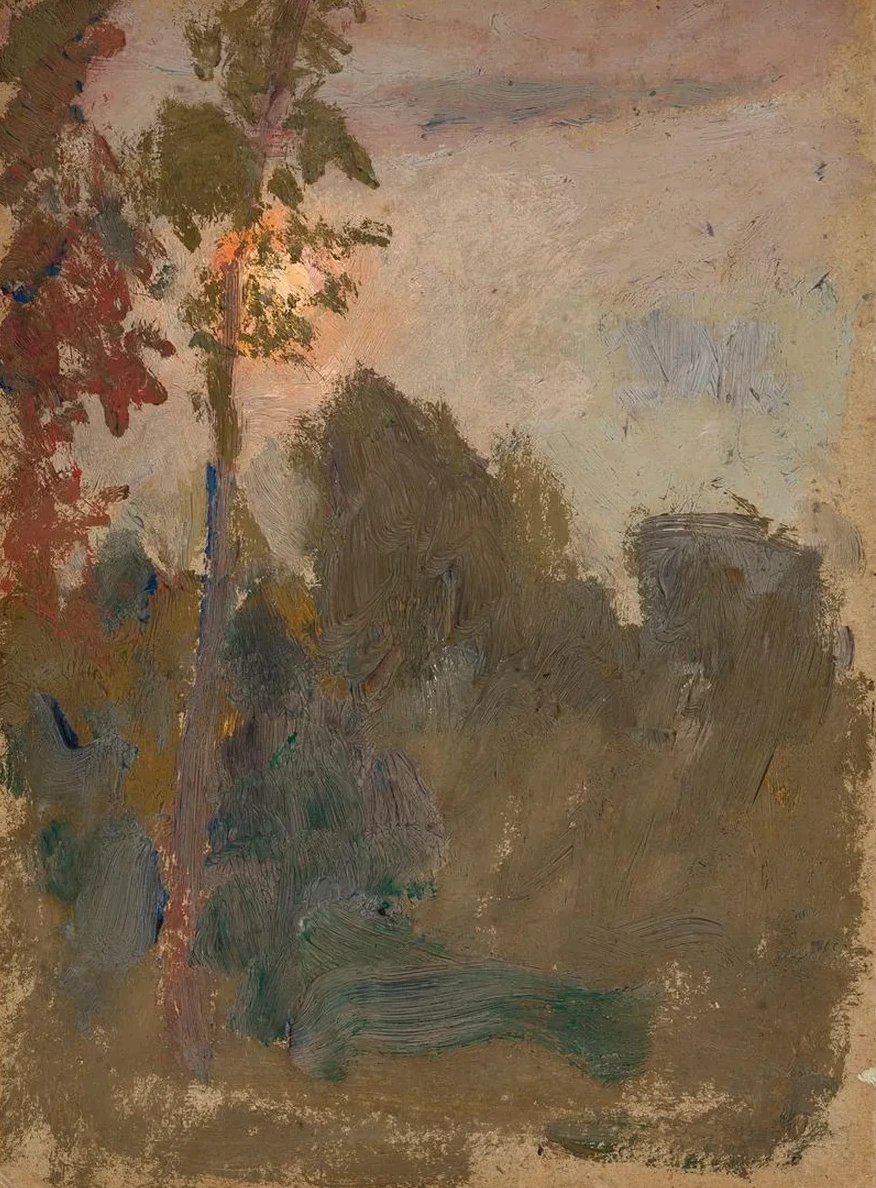 Sunset in a Forest