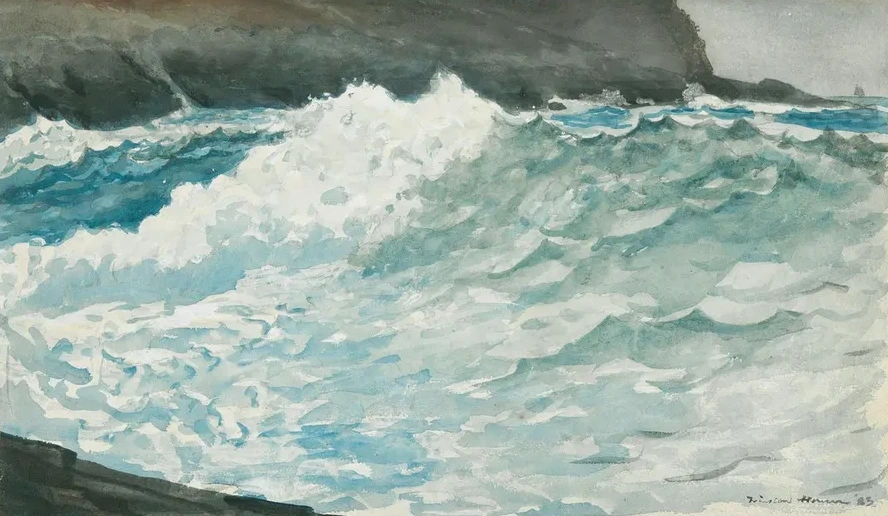 Surf, Prout sNeck