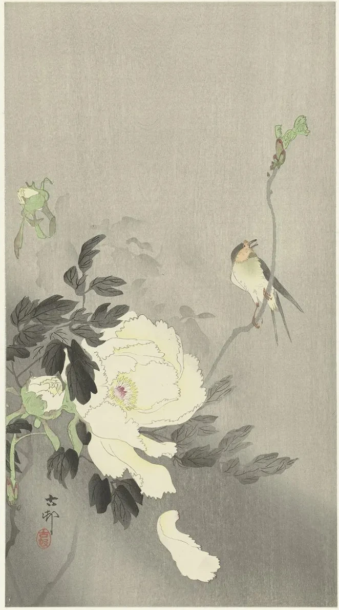 Swallow with Peony