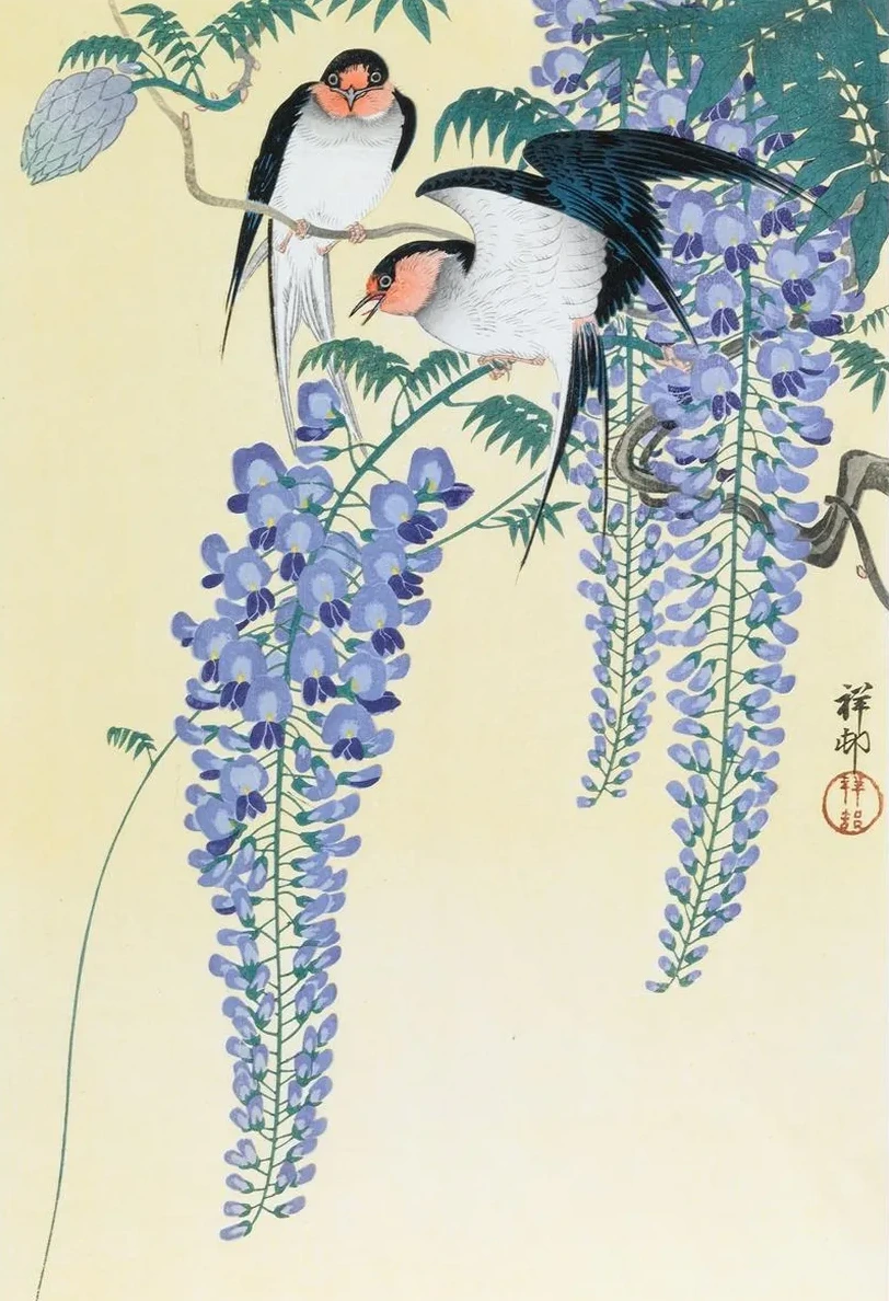 Swallows and Wisteria
