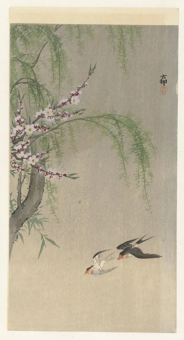 Swallows in Flight