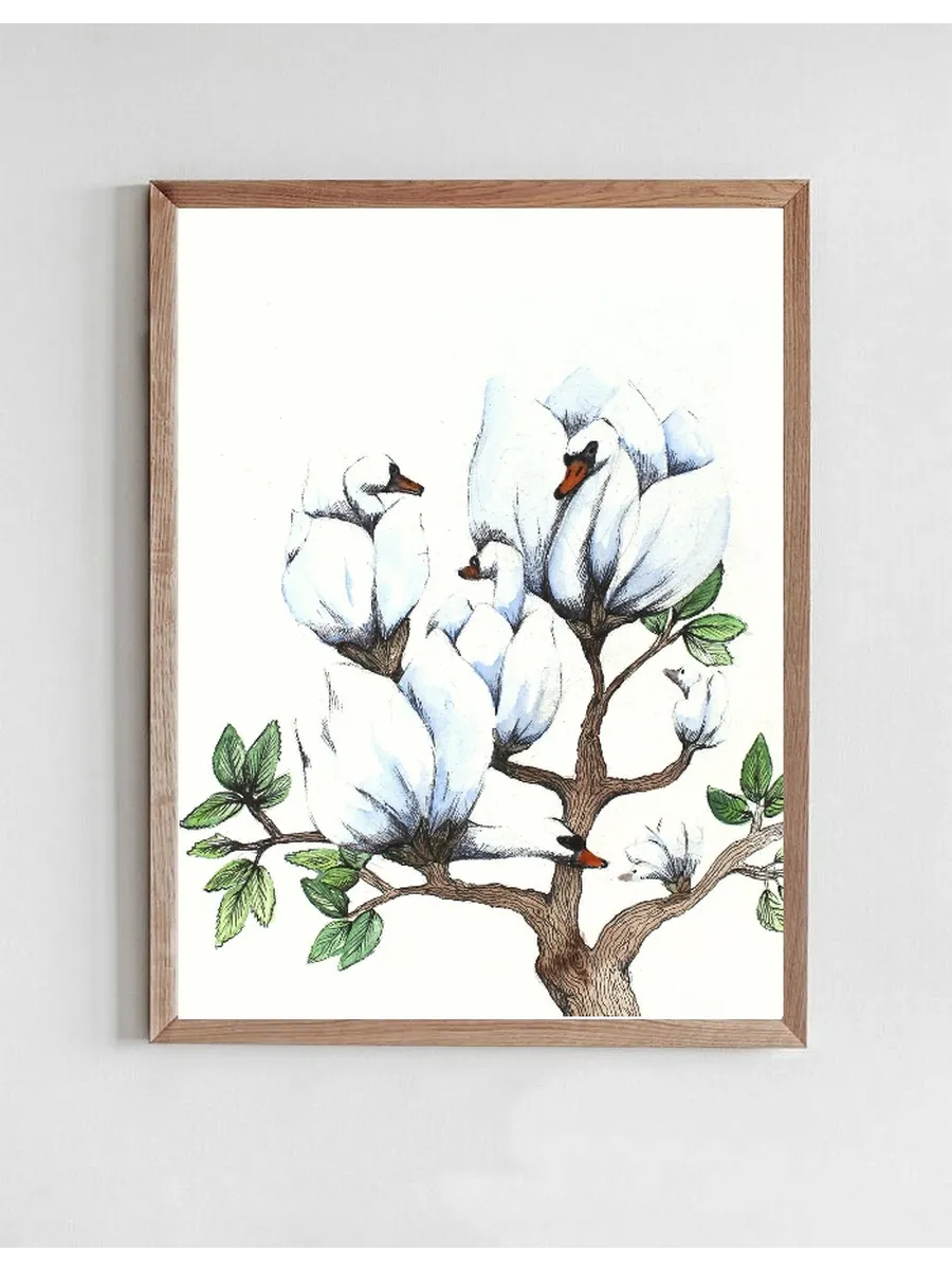 Swan Magnolia