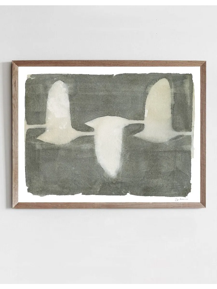 Swans