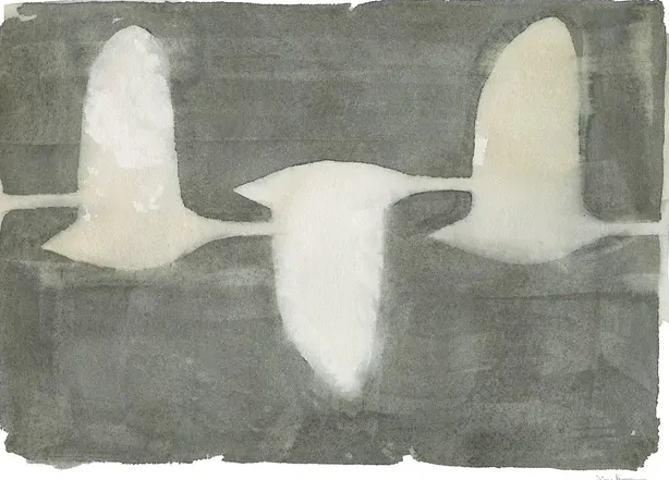 Swans