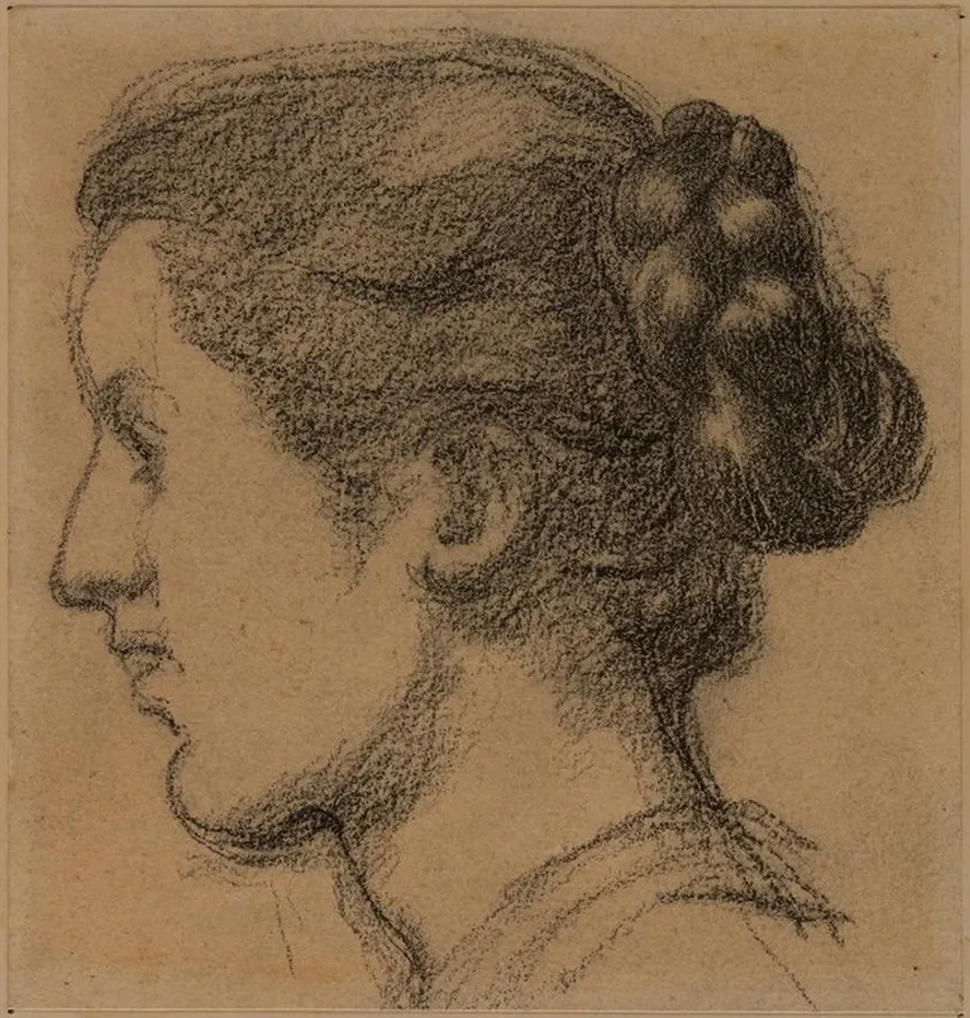 T te de femme V