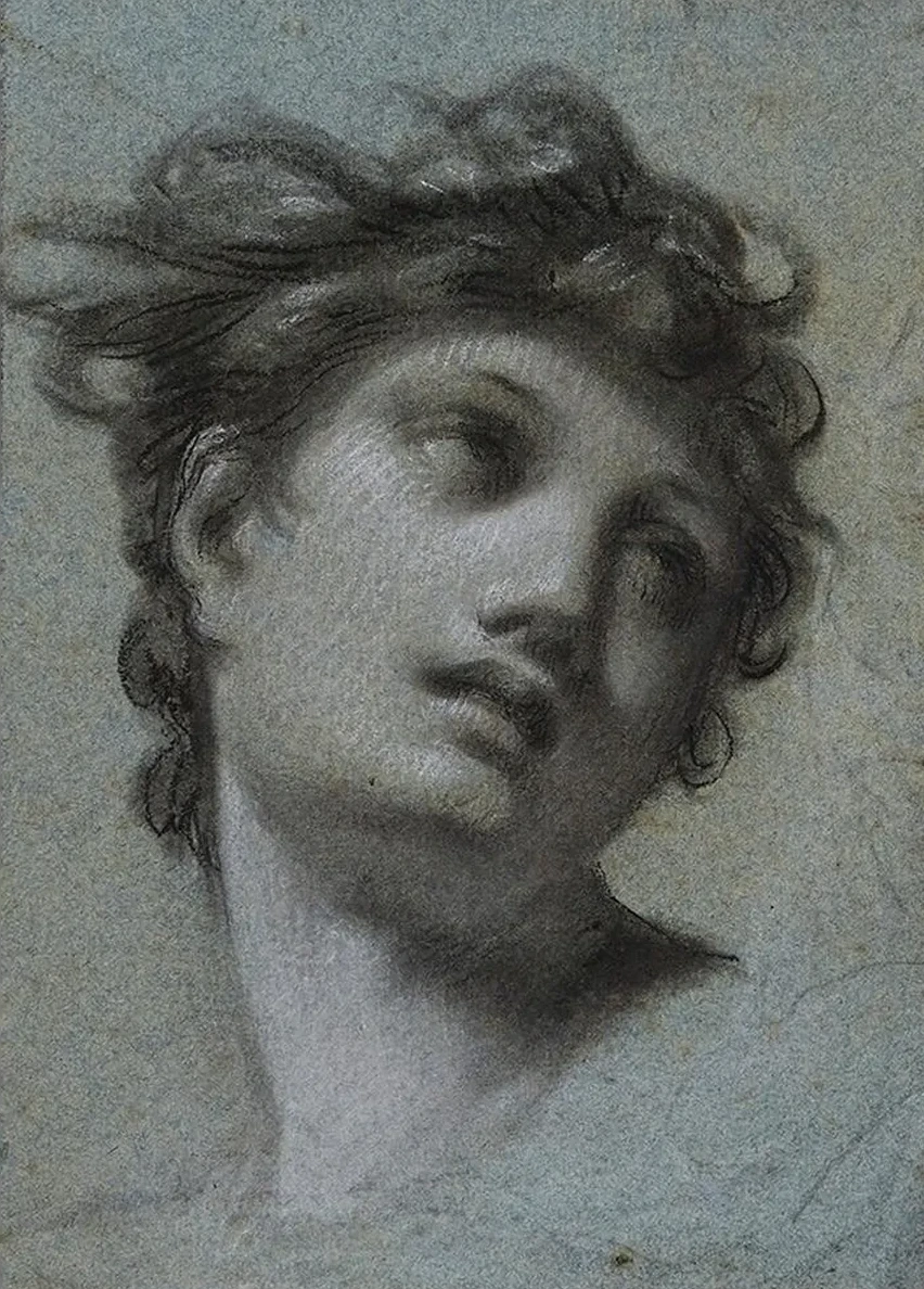 T Te de Femme