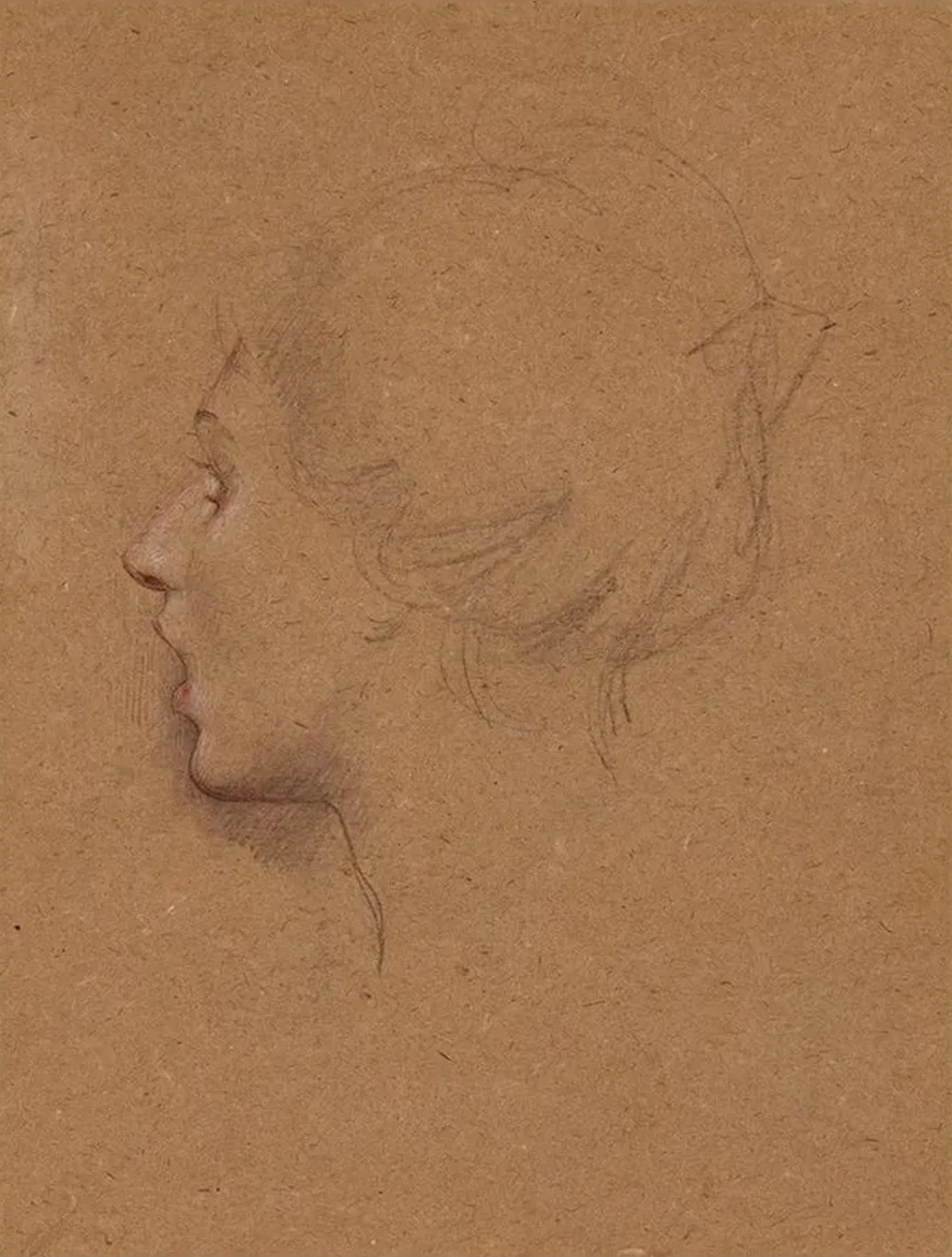 T Te de Femme