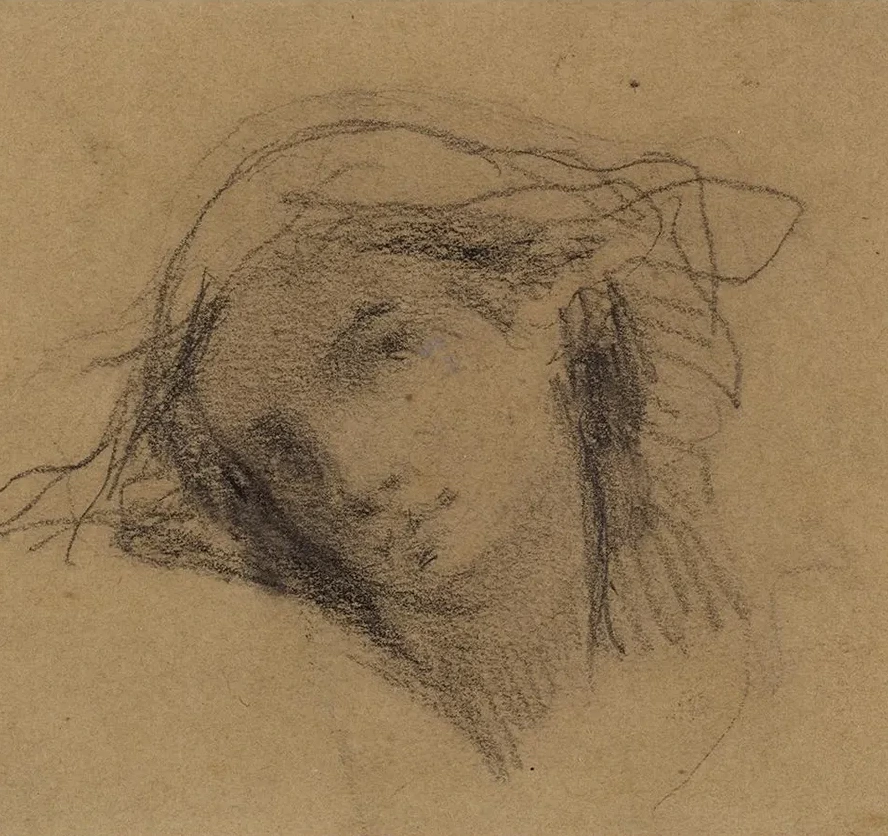 T Te de Femme