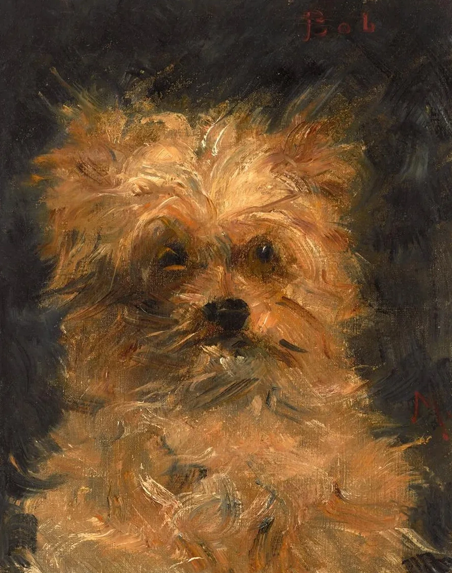 T te du chien Bob