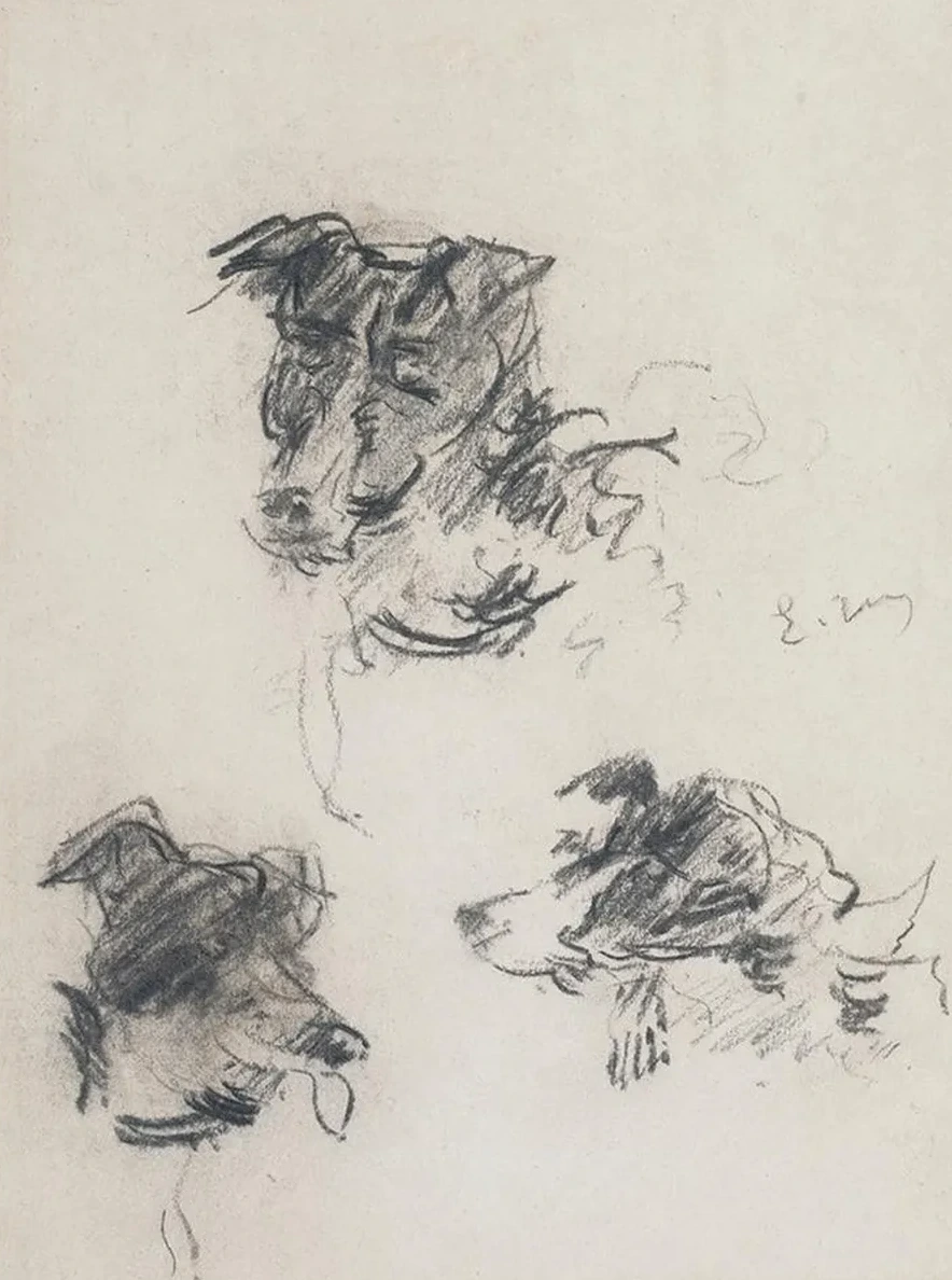 T Tes de Chiens