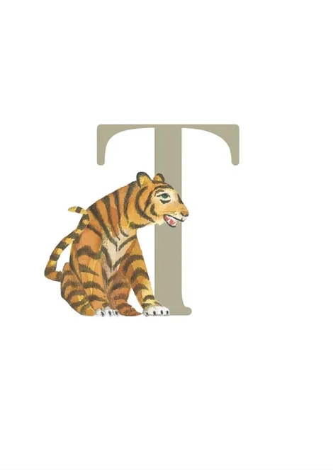 T - Tiger
