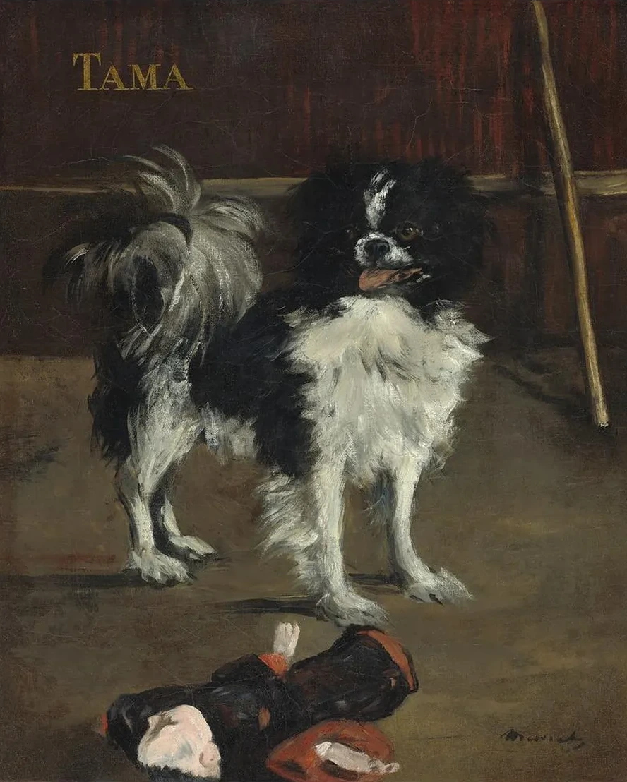 Tama,the Japanese Dog