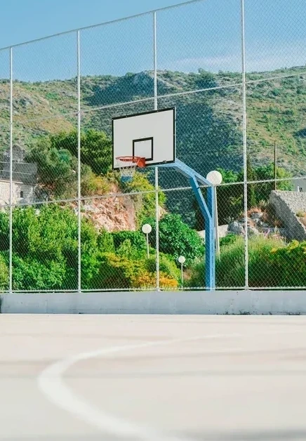 The Cage