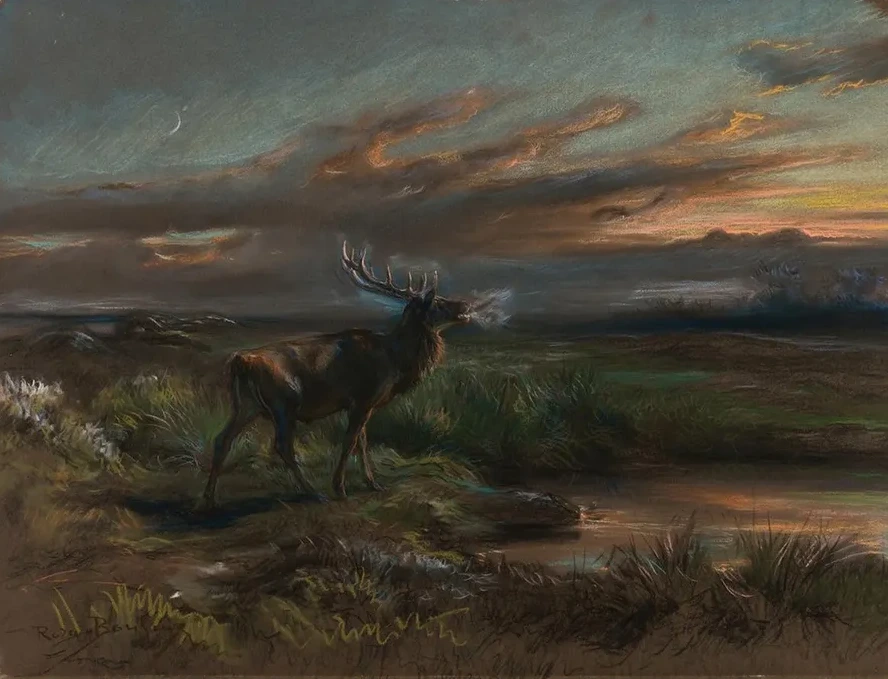 The Call of the Stag
