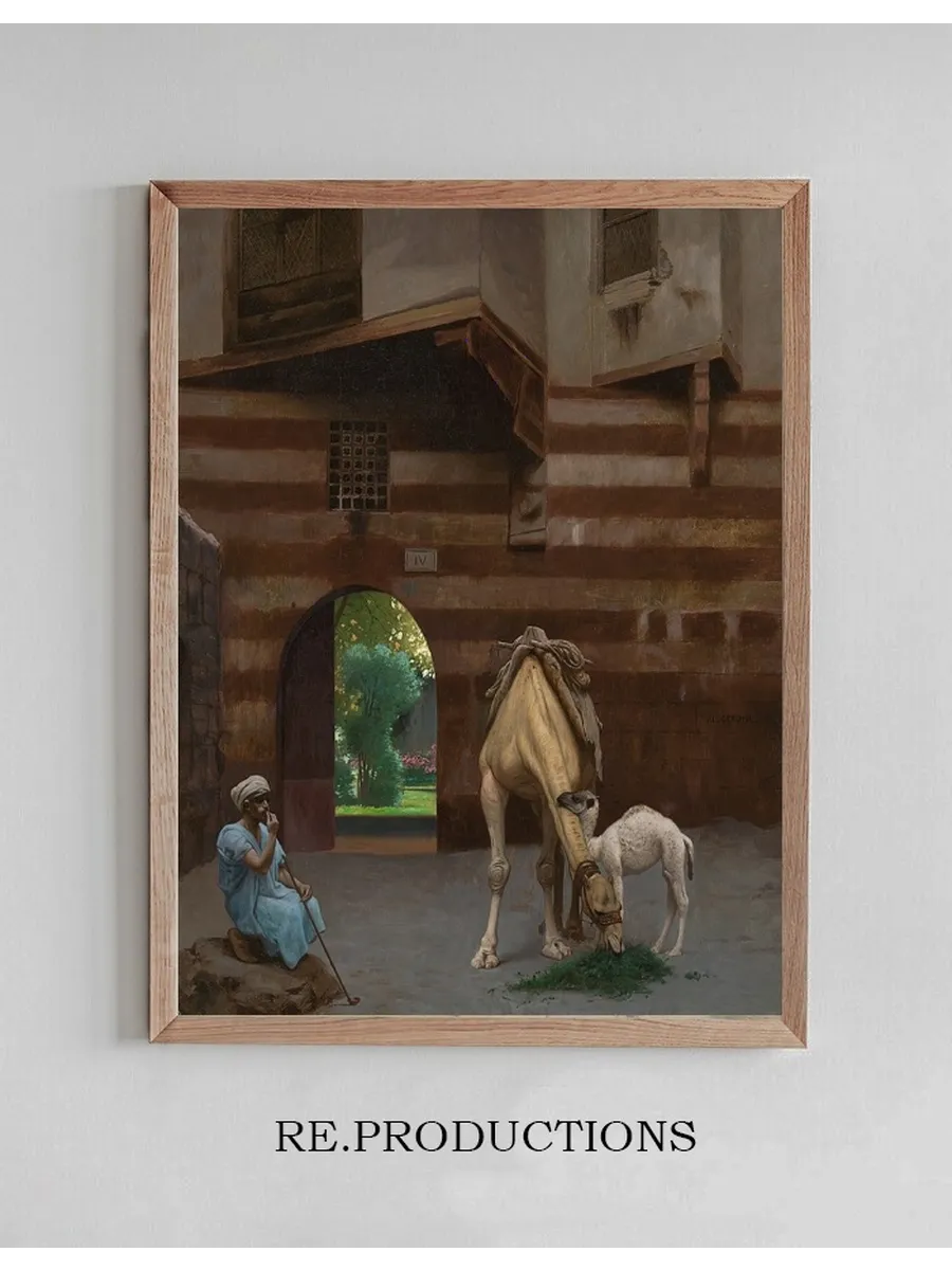 The Camel Driver