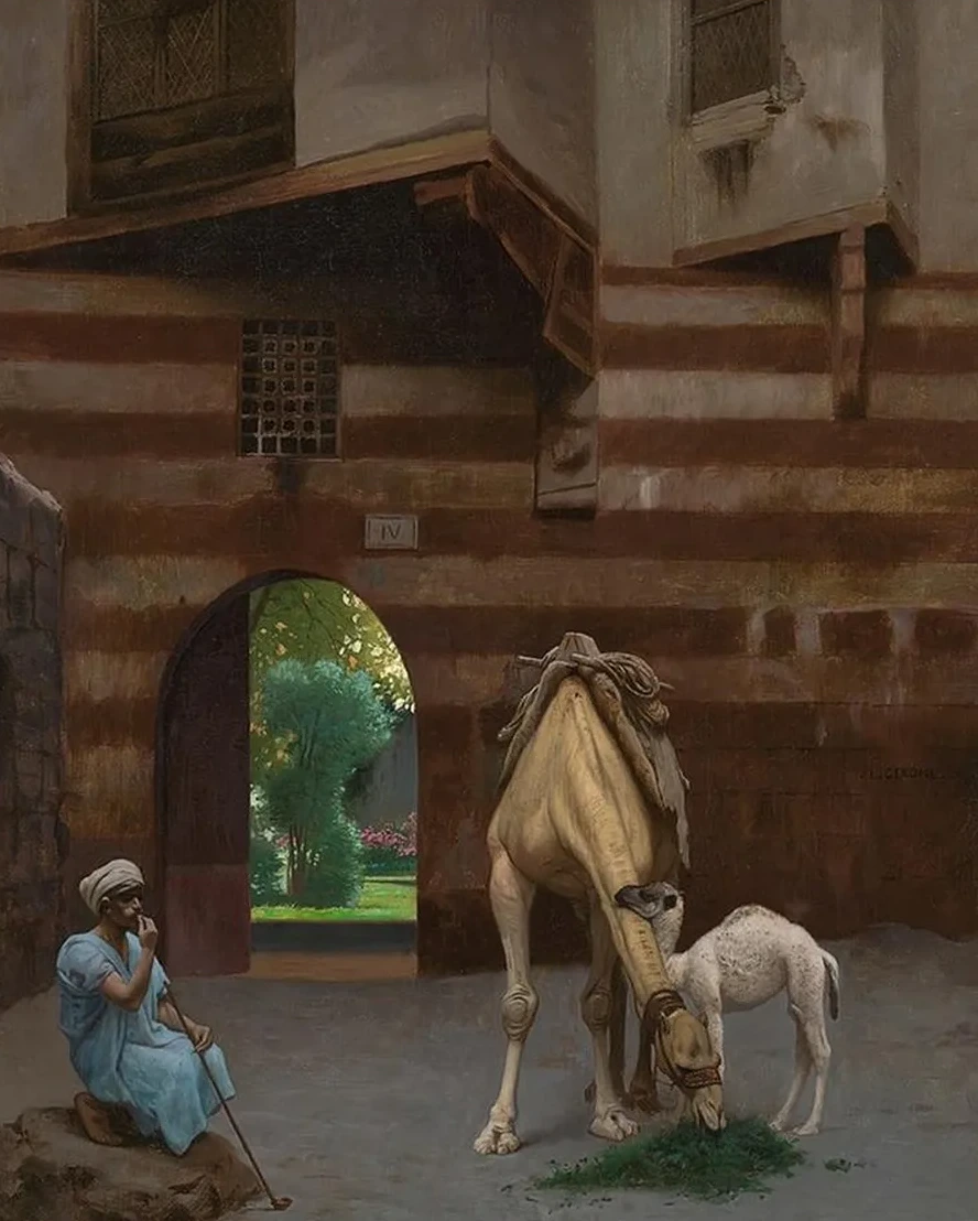 The Camel Driver