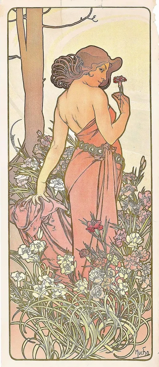 The Carnation