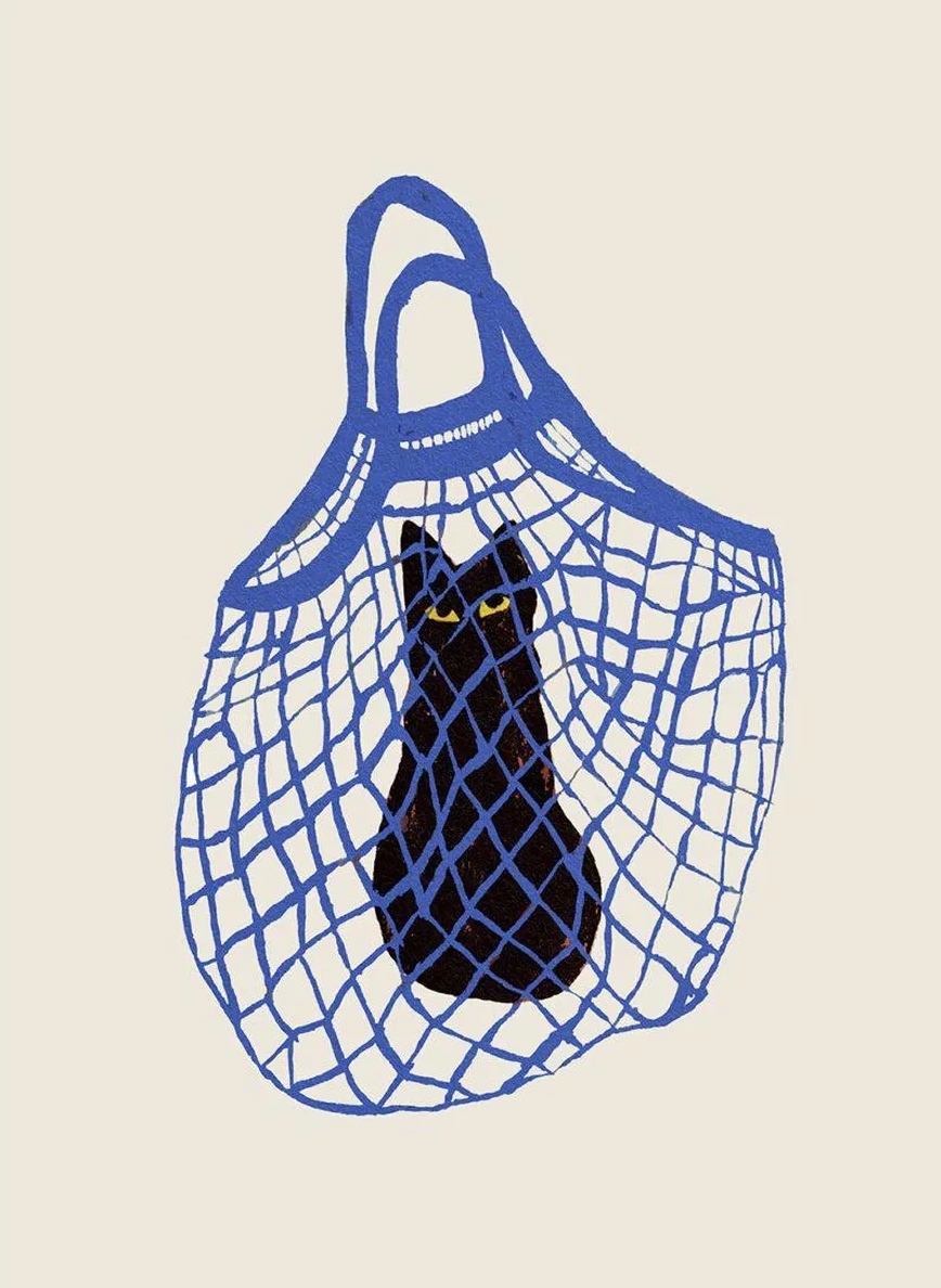 The Cat's In The Bag