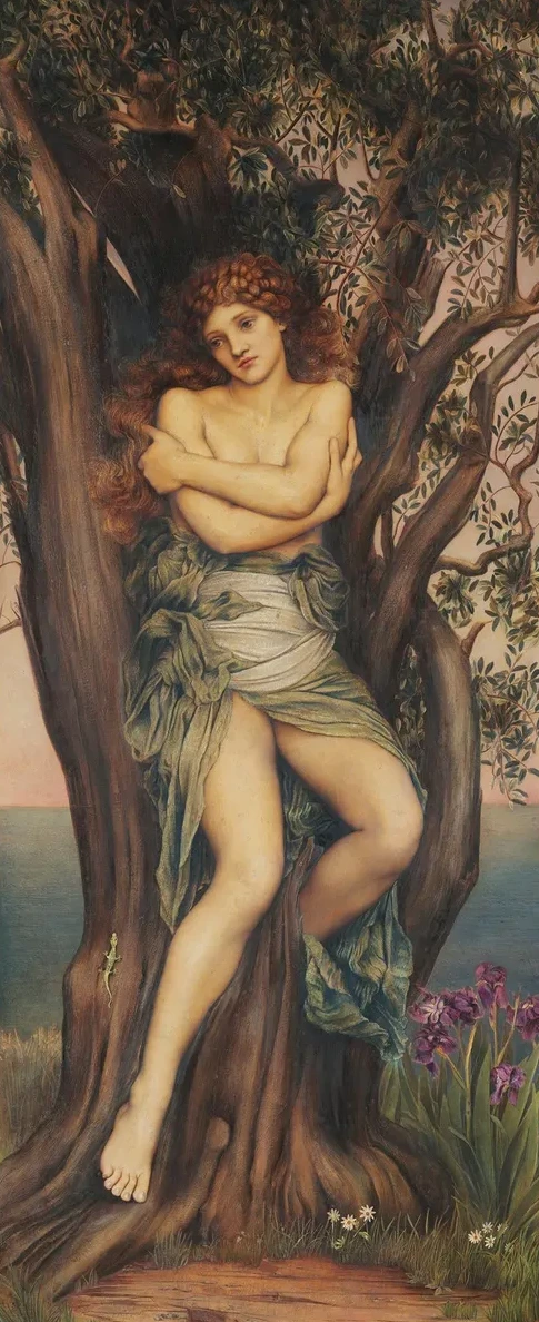 The Dryad