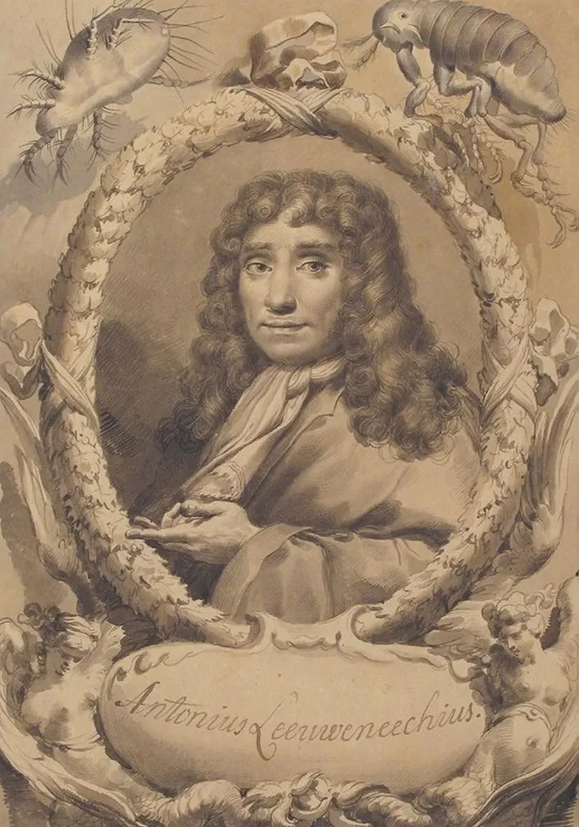The Dutch Microscopist Anton van Leeuwenhoek