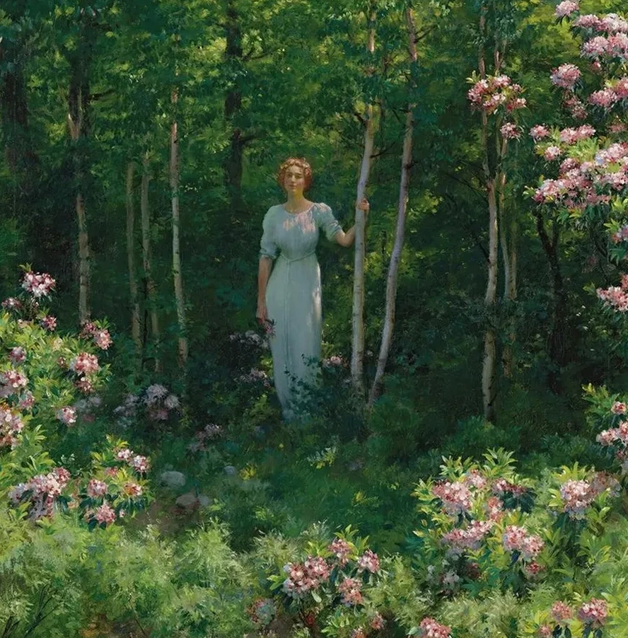 The Edge Of The Woods
