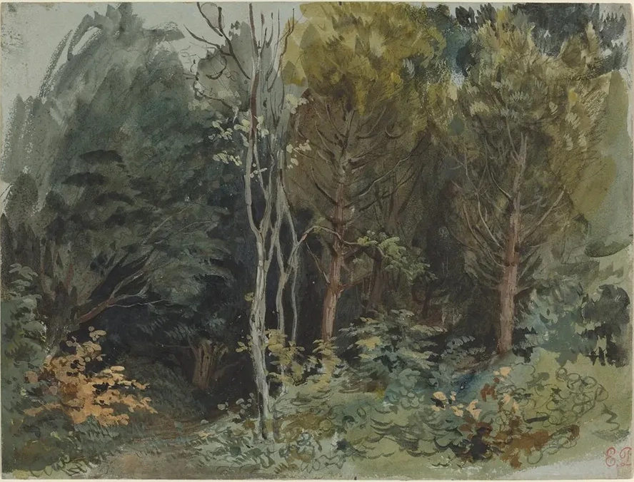 The Edge of a Wood at Nohant